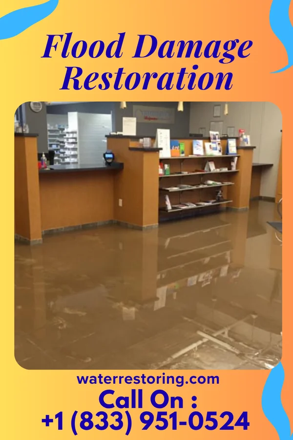 Flood Damage Restoration in Topstone, CT