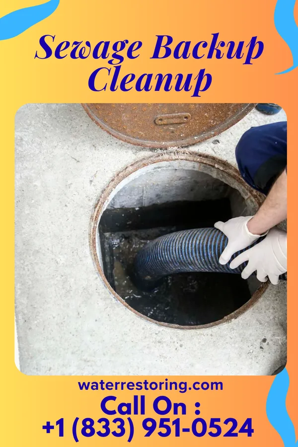 Sewage Backup Cleanup in Topstone, CT